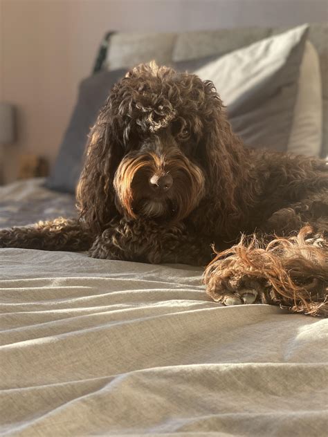 Scarletstormx Onlyfans Leaked +18 🍆