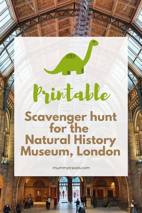 Scavenger hunt natural history museum. Things To Know About Scavenger hunt natural history museum. 