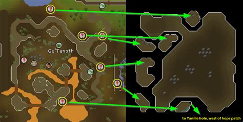 Guthix's Cave is a large cave located 