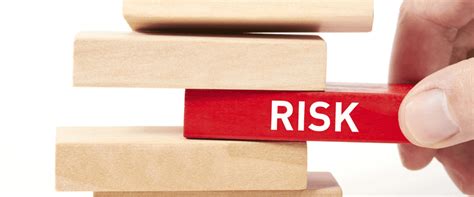 Scenarios and Potential Risks: Delving into the Working Paper