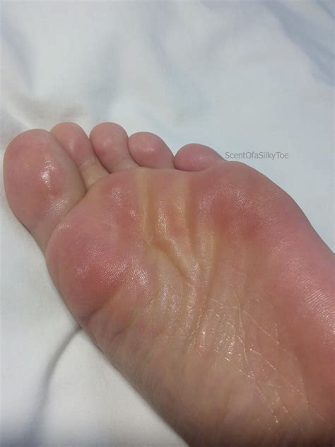 Scentofasilkytoe Leaks XxX 🍑