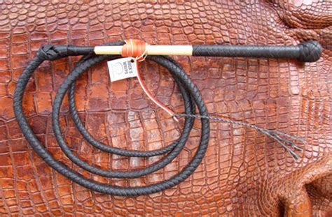 Schambach whip. Things To Know About Schambach whip. 