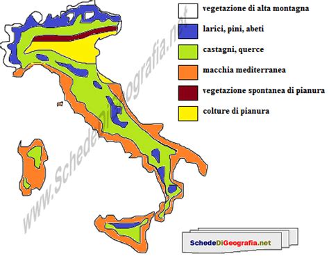 SchedeDiGeografia.net schededigeografia.net