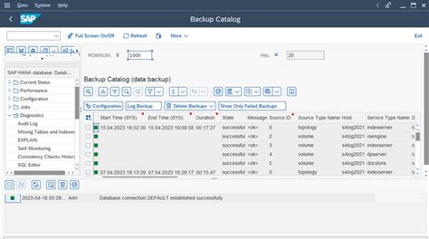 Schedule backups with SAP transaction DB13 - NetApp