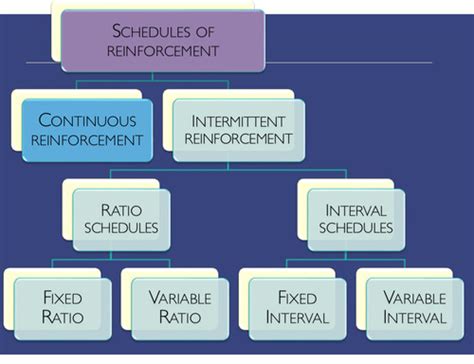 Schedules of Reinforcement Practice Flashcards Quizlet