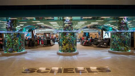 Scheels loveland. Scheels, Johnstown. 54,849 likes · 816 talking about this · 21,963 were here. SCHEELS is a destination sporting goods store with 32 locations in the U.S.A. 