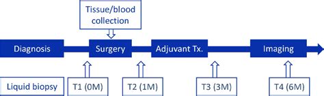 Schematic diagram of the longitudinal study design. Both plasma and... Download Scientific Diagram