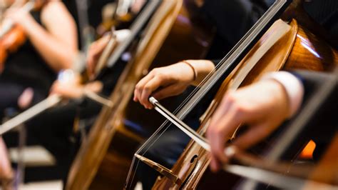 Schenectady-Saratoga Symphony Orchestra to perform at Music Haven