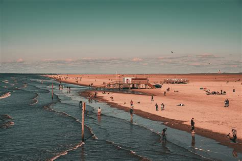 ScheuNe Rasierte Fotzen