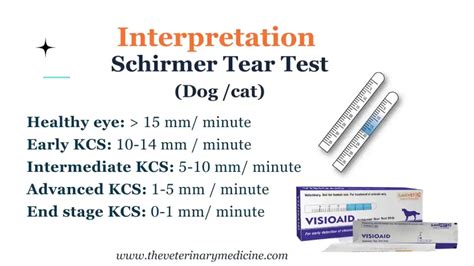 Schirmer Tear Test (STT) in Cats - PetPlace