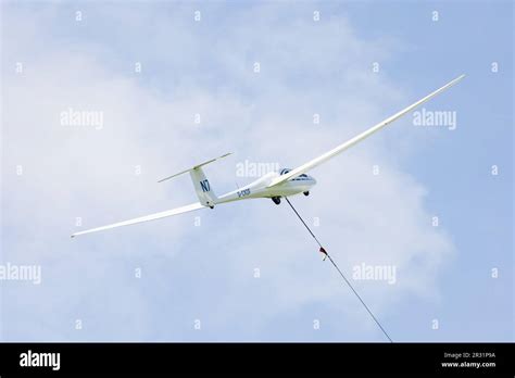 Schleicher Trainer vs Competition Gliders