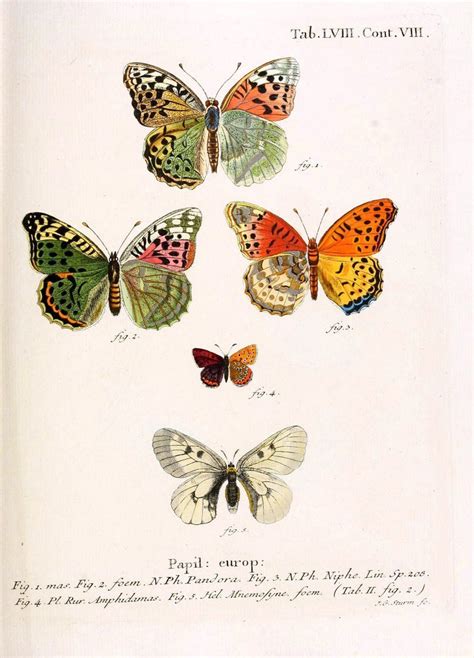 Schmetterlinge in abbildungen nach der natur. - Handbook of microbiological media third edition.
