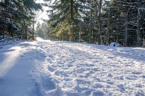 Schneebergblick Runde - Ein Winterspaziergang auf der Hohen …