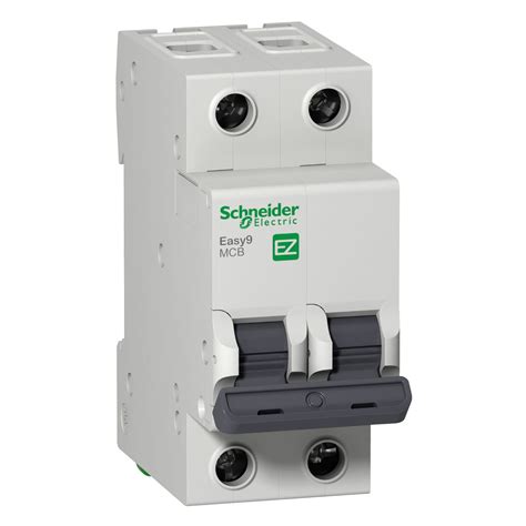 Schneider Electric Easy9 & Resi9 Affordable Circuit