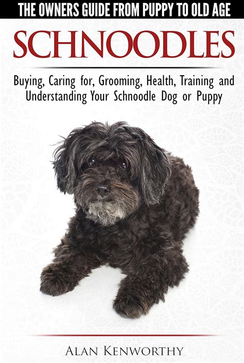 Schnoodles the owners guide from puppy to old age choosing caring for grooming health training and understanding. - Spain strategy guide empire total war.