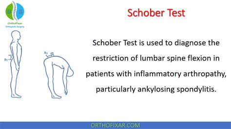 Schober Test