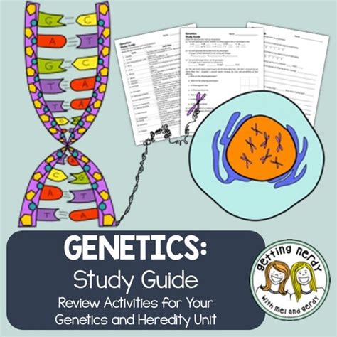 School Study Middle Guide Genetics