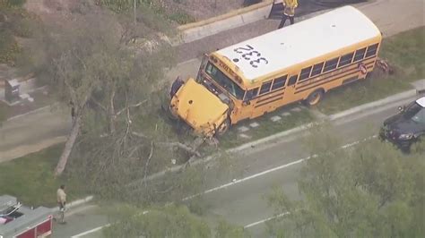 School bus crashes into trees in South Bay