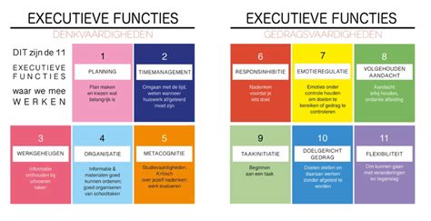 Schoolproblemen door executieve functies