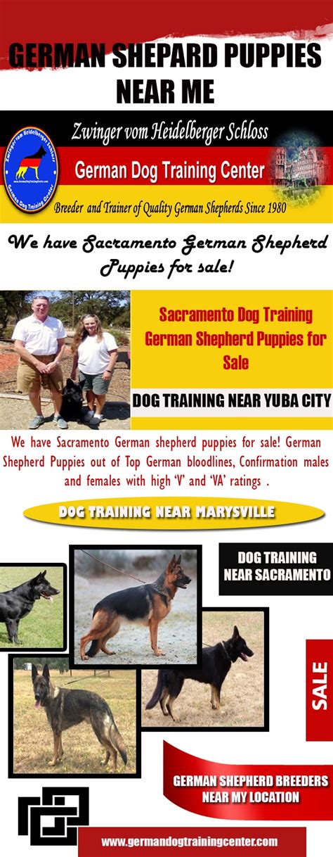 Schutzhund training near me. Things To Know About Schutzhund training near me. 