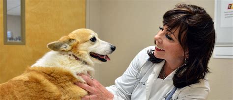 Schwartz Paul H DVM in Millbrook, NY is a veterinarian in Millbrook…