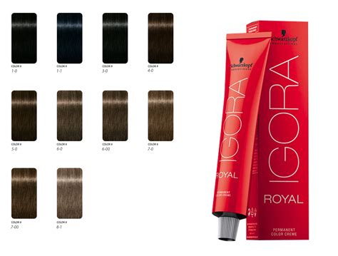 Schwarzkopf &ndash; Retouche Racines &ndash; Poudre Compacte Couvrante ...