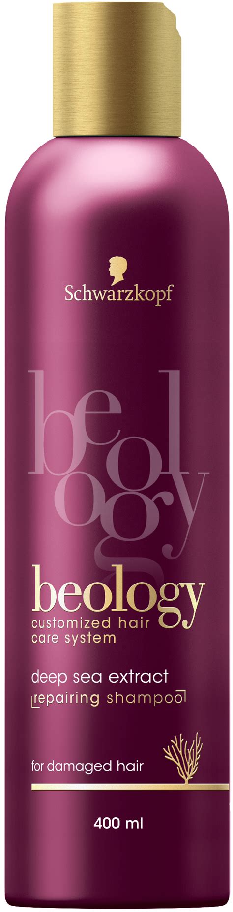 Schwarzkopf beology Feuchtigkeits-Shampoo, für trockenes. 