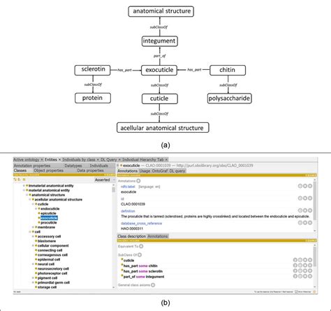 SciELO - Brasil - Comments to “Metontology and Heidegger’s …