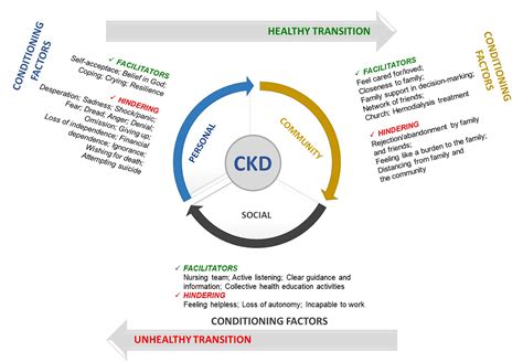 SciELO - Brasil - The health/disease transition process in chronic ...