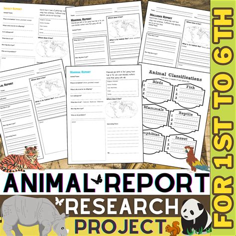 Science Animal Research Project worksheet