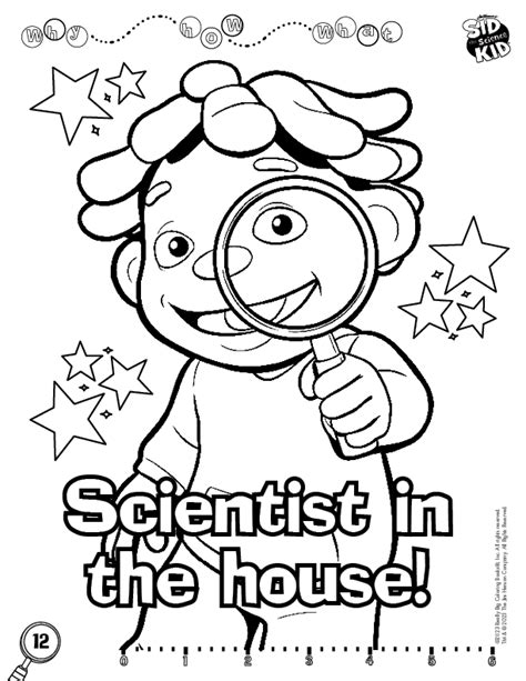 Dragon Balls Coloring Pages