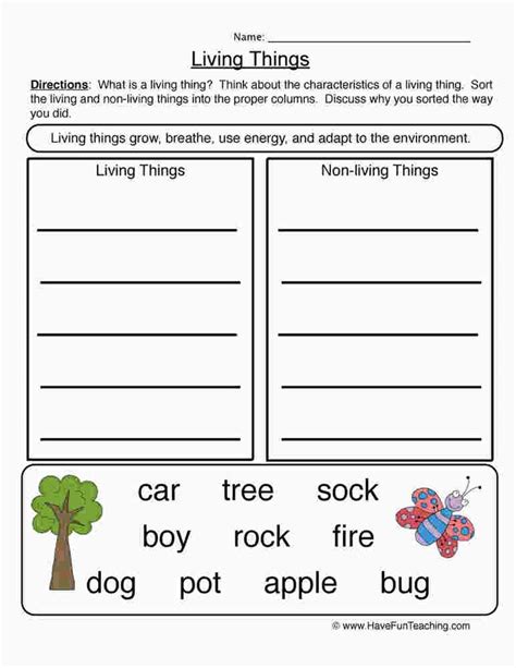 Science For First Graders Worksheet