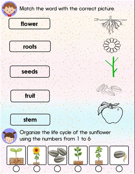 Science For Grade 1