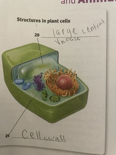 Science U10, Lessons(1-3) Flashcards Quizlet