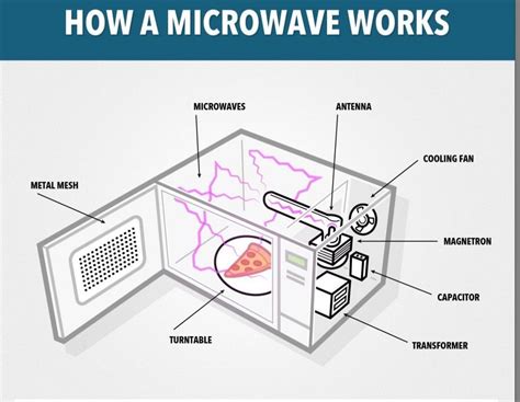 Science behind microwaves.  We&rsquo;ll explore the science behind microwaves, including h...