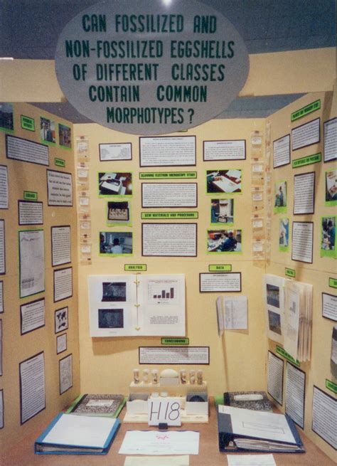 Science fair board examples. Things To Know About Science fair board examples. 