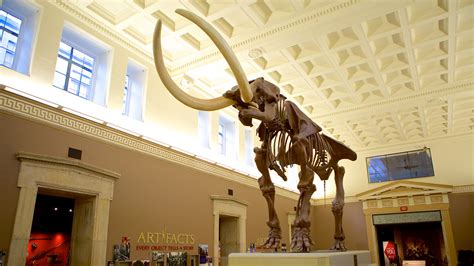 Science museum buffalo. 10 a.m. – 4 p.m. Extended hours on Wednesdays until 9 p.m. $19 | Adults. $16 | Children 2-17. $16 | Seniors 62+. $16 | Students/Military with ID. FREE | Museum Members. FREE | Children under 2. Bug Works is about the … 
