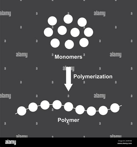 Scientific Designing of Polymerization Reaction. Converting Monomers to