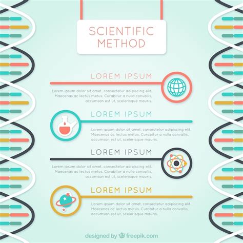Scientific method infographic template Vector Free Download