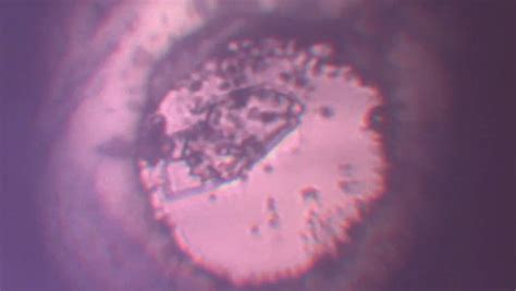 Scientists Create First Room-Temperature Time Crystal Visible to the Naked Eye