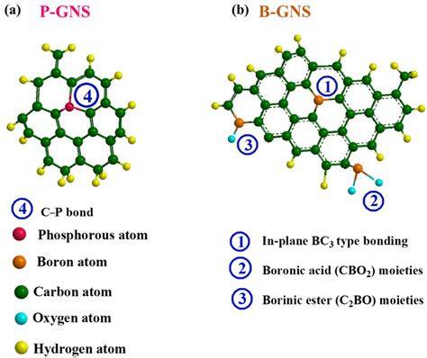Scientists Create Stable Boron Graphene & Discover Quantum Liquid Crystal State (2026)