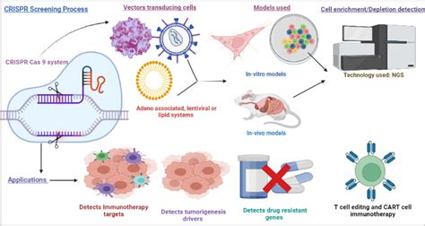Scientists Develop Breakthrough Cancer Treatment Using CRISPR Technology