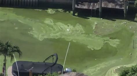 Scientists investigating health effects of airborne toxin from blue-green algae