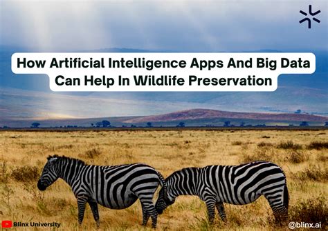 Scientists use artificial intelligence tools to help save wildlife Sustainablity