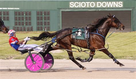 Scioto downs harness racing results. Things To Know About Scioto downs harness racing results. 