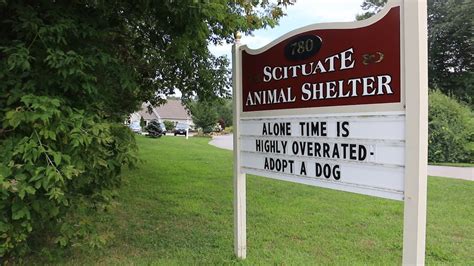 Scituate animal shelter. SAS is the region's #1 animal shelter and resource for pet welfare services. We never euthanize for space or length of time. We are a 501c3 charity. SAS: The Scituate Animal Shelter Dine OUt on August 30th to help our pets. k9 greeter at every venue! Click here ... SAS: The Scituate Animal Shelter ... 
