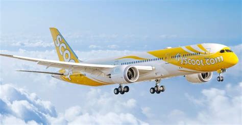 Scoot Airline Scam - Air Travel Forum - Tripadvisor