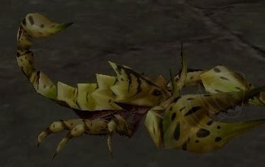 Scorpion - NPC - WotLK Classic - Wowhead