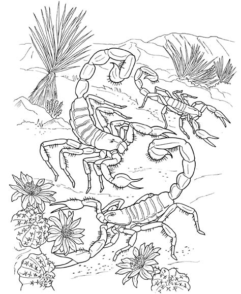 Scorpion Coloring Sheets
