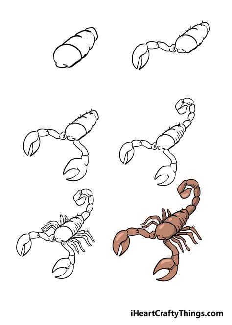 Scorpion Drawing How To Draw A Scorpion Step By Step